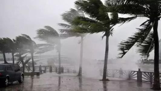 8月臺風雨即將來，除濕機還得用起來