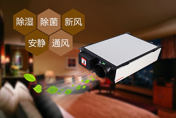 為什么冷庫除濕機會出現結霜的情況？