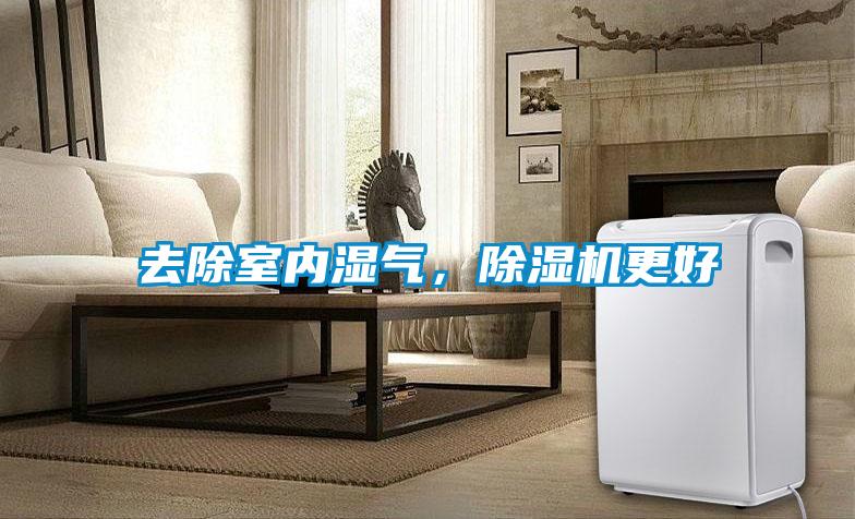 去除室內濕氣，除濕機更好