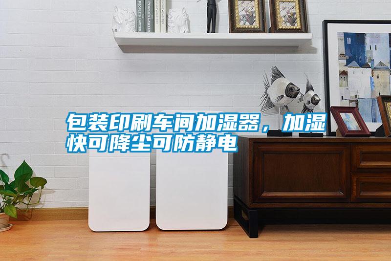 包裝印刷車間加濕器，加濕快可降塵可防靜電