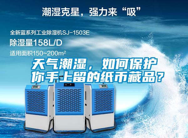 天氣潮濕，如何保護你手上留的紙幣藏品？