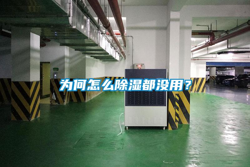 為何怎么除濕都沒用？