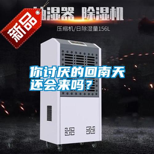 你討厭的回南天還會來嗎？