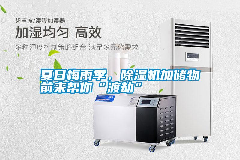 夏日梅雨季，除濕機加儲物前來幫你“渡劫”