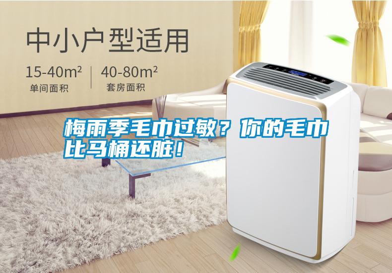梅雨季毛巾過敏？你的毛巾比馬桶還臟！