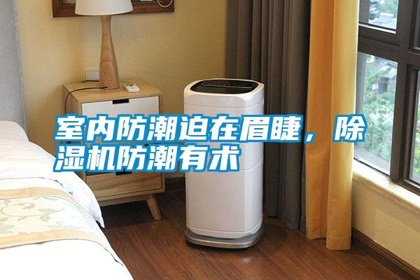 室內防潮迫在眉睫，除濕機防潮有術
