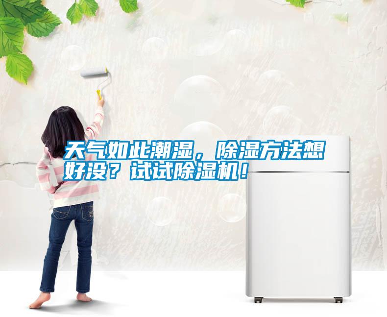天氣如此潮濕，除濕方法想好沒？試試除濕機！