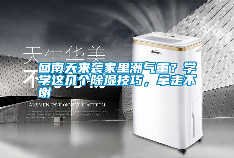 回南天來襲家里潮氣重？學學這幾個除濕技巧，拿走不謝