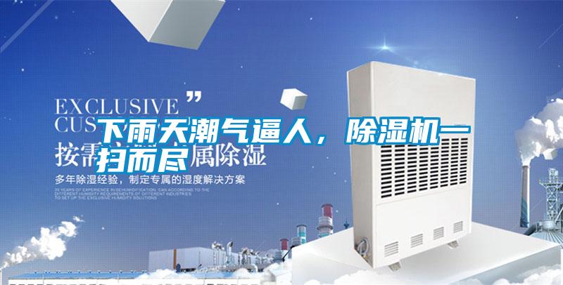 下雨天潮氣逼人，除濕機一掃而盡