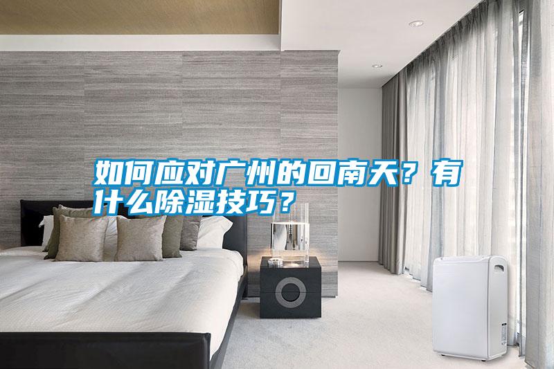如何應對廣州的回南天？有什么除濕技巧？