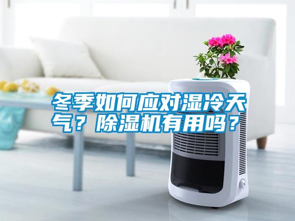 冬季如何應對濕冷天氣？除濕機有用嗎？