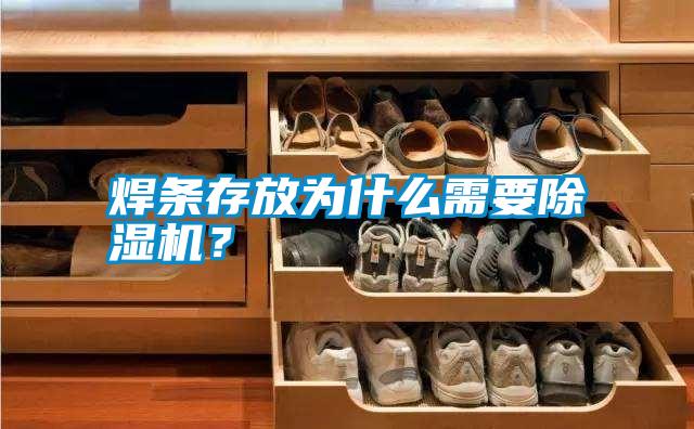 焊條存放為什么需要除濕機？