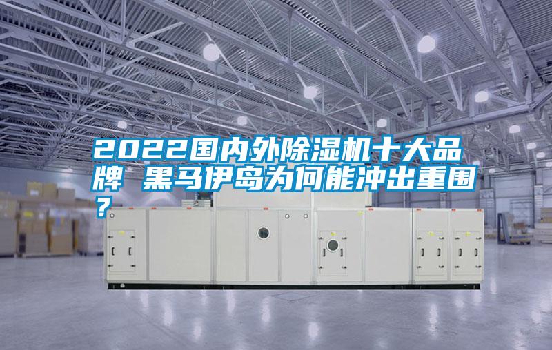 2022國內外除濕機十大品牌 黑馬伊島為何能沖出重圍？