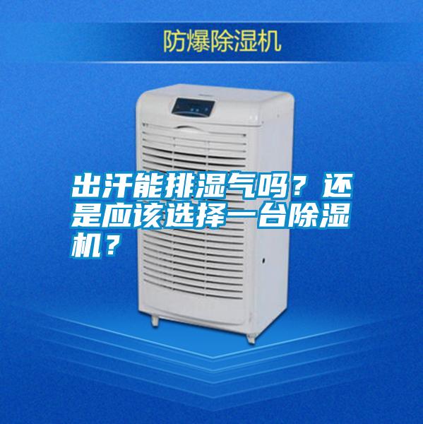 出汗能排濕氣嗎？還是應該選擇一臺除濕機？