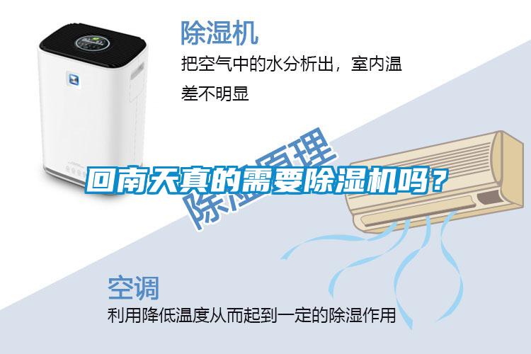 回南天真的需要除濕機嗎？