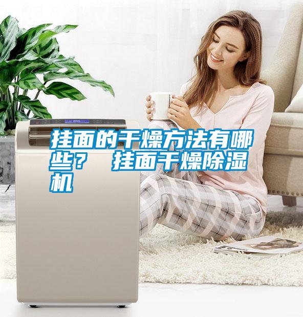 掛面的干燥方法有哪些？ 掛面干燥除濕機