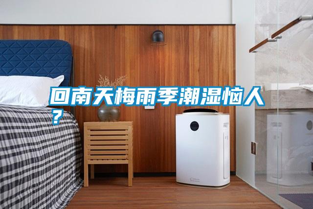 回南天梅雨季潮濕惱人？