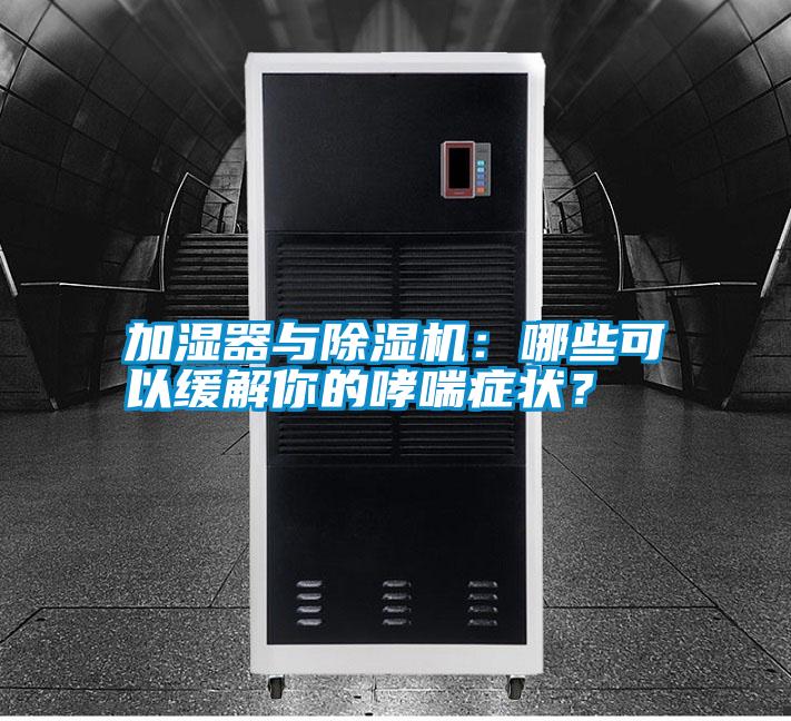 加濕器與除濕機：哪些可以緩解你的哮喘癥狀？