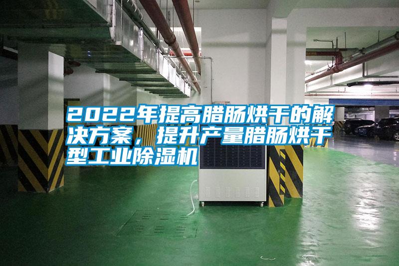2022年提高臘腸烘干的解決方案，提升產量臘腸烘干型工業除濕機