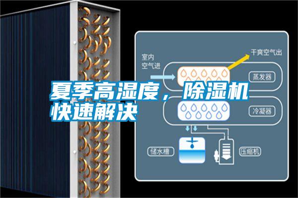 夏季高濕度，除濕機快速解決