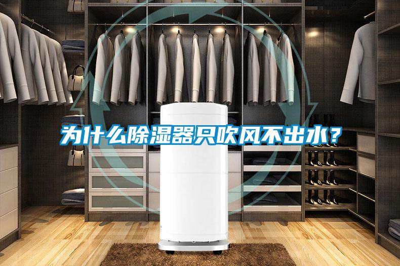 為什么除濕器只吹風不出水？