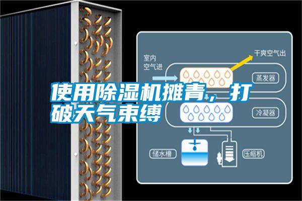 使用除濕機攤青，打破天氣束縛