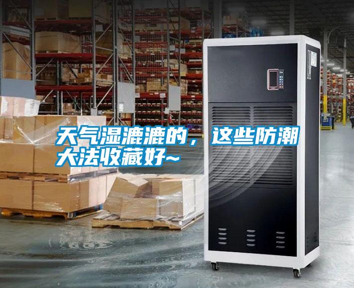 天氣濕漉漉的，這些防潮大法收藏好~
