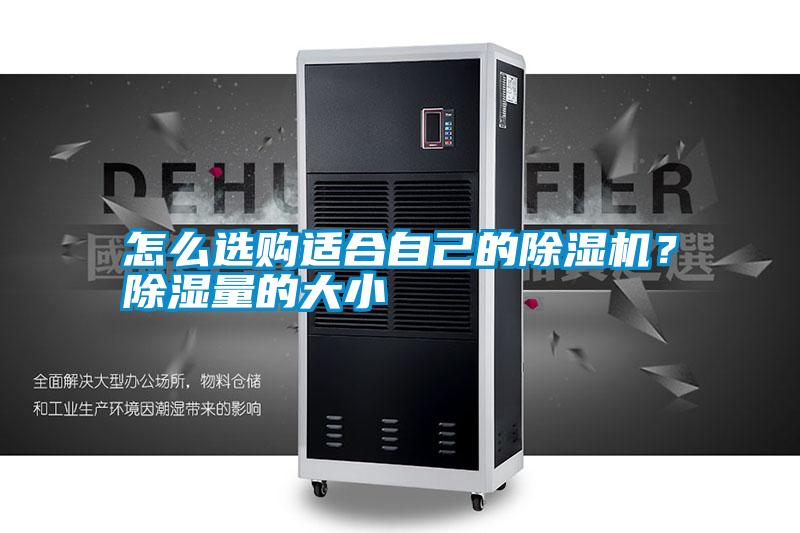 怎么選購適合自己的除濕機？除濕量的大小