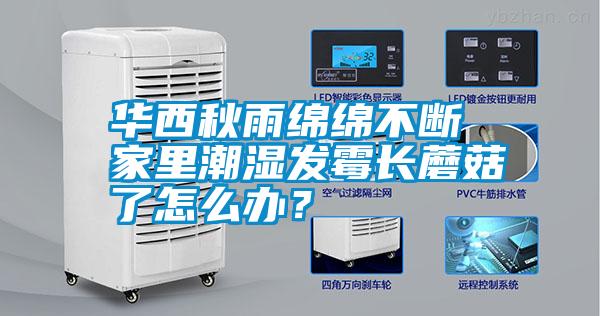 華西秋雨綿綿不斷 家里潮濕發霉長蘑菇了怎么辦？