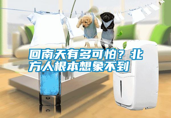 回南天有多可怕？北方人根本想象不到