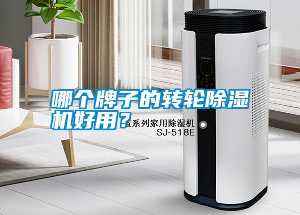 哪個牌子的轉輪除濕機好用？
