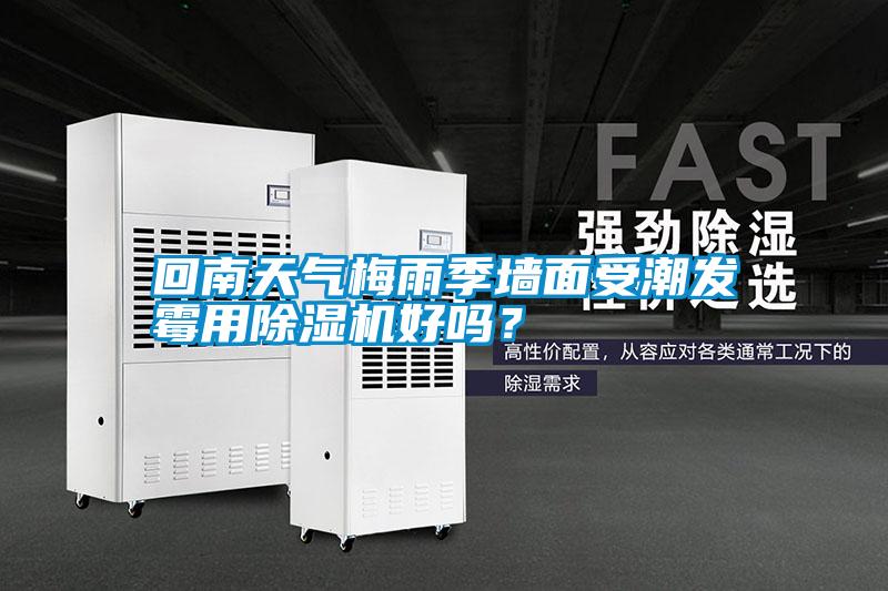 回南天氣梅雨季墻面受潮發霉用除濕機好嗎？
