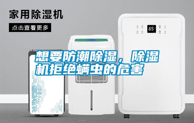想要防潮除濕，除濕機拒絕螨蟲的危害