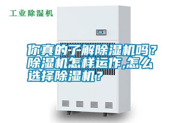 你真的了解除濕機嗎？除濕機怎樣運作,怎么選擇除濕機？
