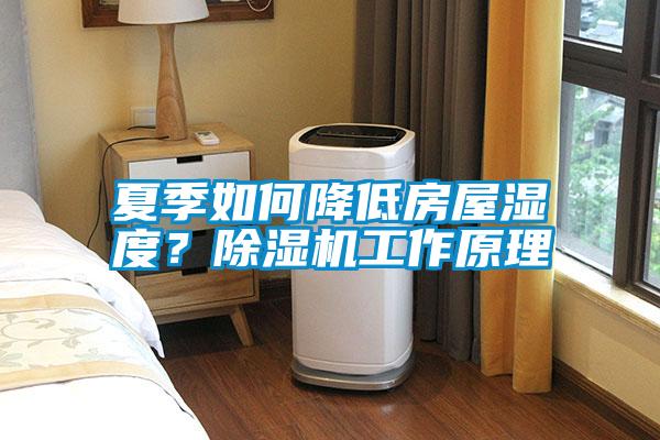 夏季如何降低房屋濕度？除濕機工作原理