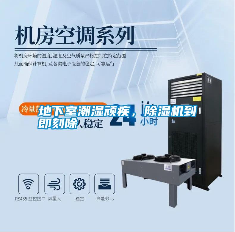 地下室潮濕頑疾，除濕機到即刻除
