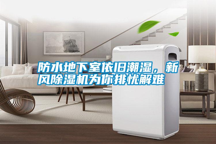 防水地下室依舊潮濕，新風除濕機為你排憂解難