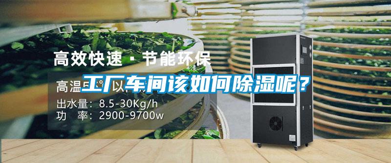 工廠車間該如何除濕呢？