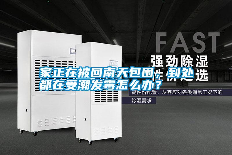 家正在被回南天包圍，到處都在受潮發霉怎么辦？