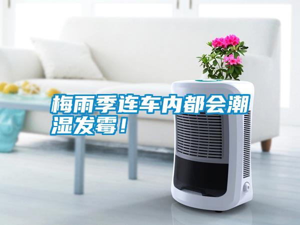 梅雨季連車內都會潮濕發霉！