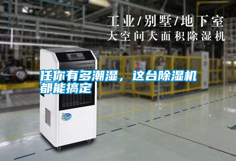任你有多潮濕，這臺除濕機都能搞定