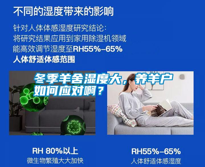 冬季羊舍濕度大，養羊戶如何應對?。?></div>
								<div   id=