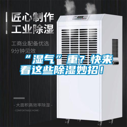 “濕氣”重？快來看這些除濕妙招！