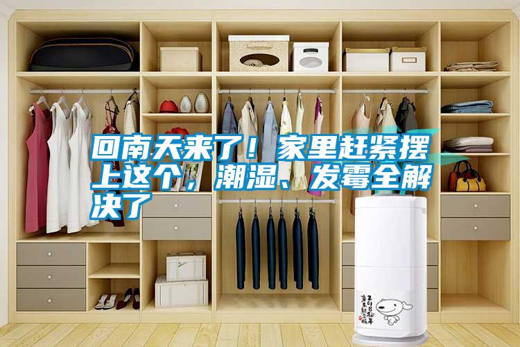 回南天來了！家里趕緊擺上這個，潮濕、發霉全解決了