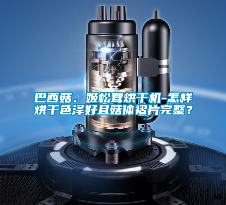巴西菇、姬松茸烘干機-怎樣烘干色澤好且菇體褶片完整？