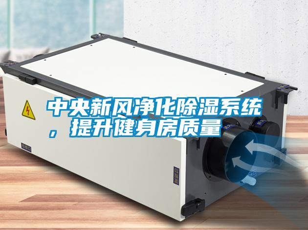 中央新風凈化除濕系統，提升健身房質量