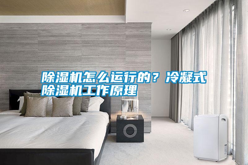 除濕機怎么運行的？冷凝式除濕機工作原理