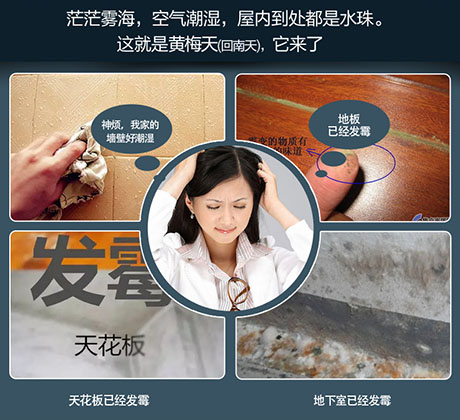 家庭別墅的地下室、衛生間、儲物室等該如何除濕？