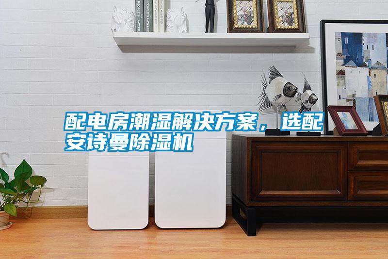 配電房潮濕解決方案，選配安詩曼除濕機