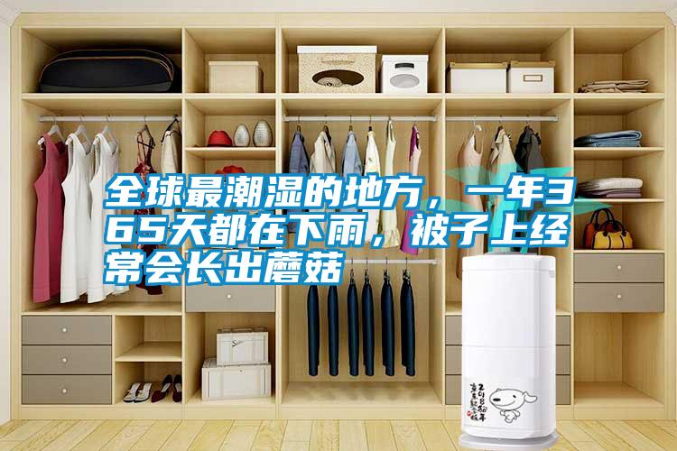 全球最潮濕的地方，一年365天都在下雨，被子上經常會長出蘑菇